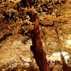 夜の弘前公園4