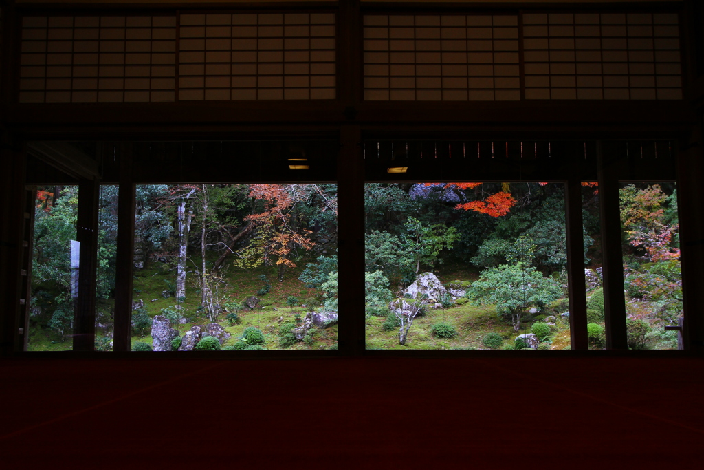 紅葉2019