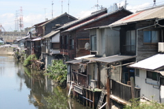 水郷で観た風景