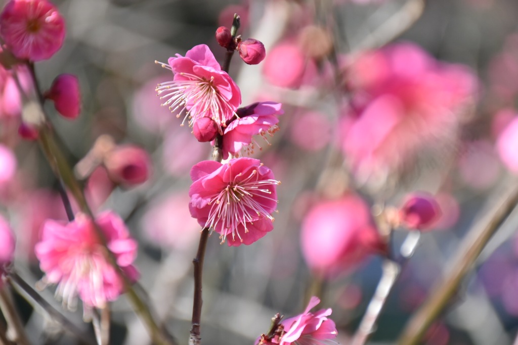 総合公園④
