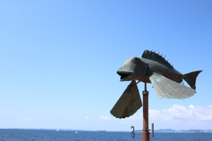 夏の大物！！