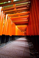 千本鳥居