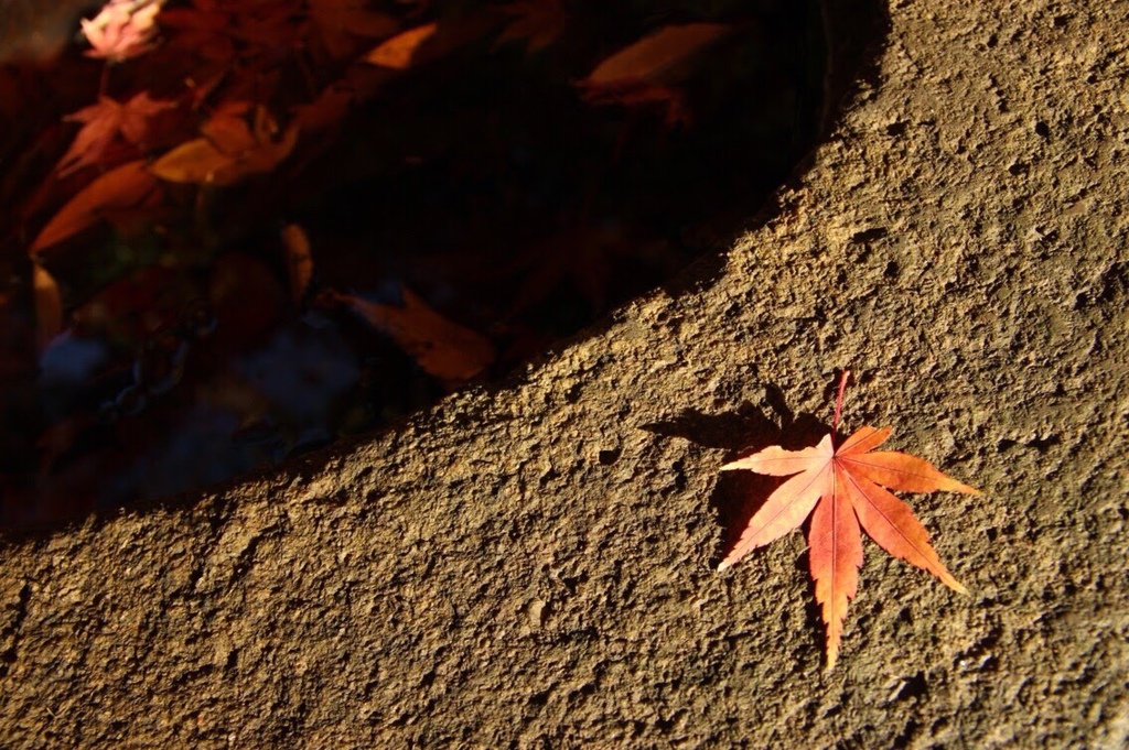 秋一つ