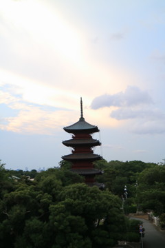 夕景/ 池上本門寺