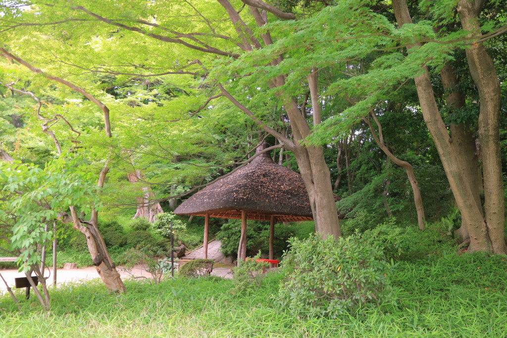 庭園/ 小石川後楽園