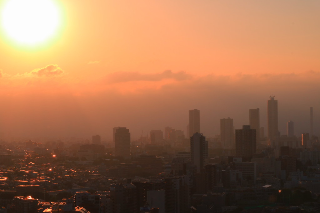 夕日/ 文京シビックセンター