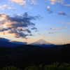 富士山 吾妻山公園の菜の花と
