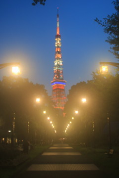 夜景/ 東京タワー