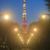夜景/ 東京タワー