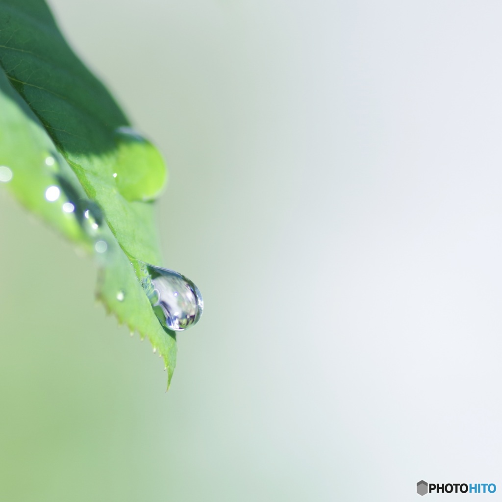 雨上がり