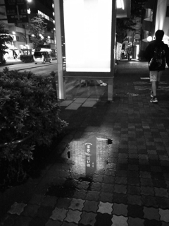 monochrome