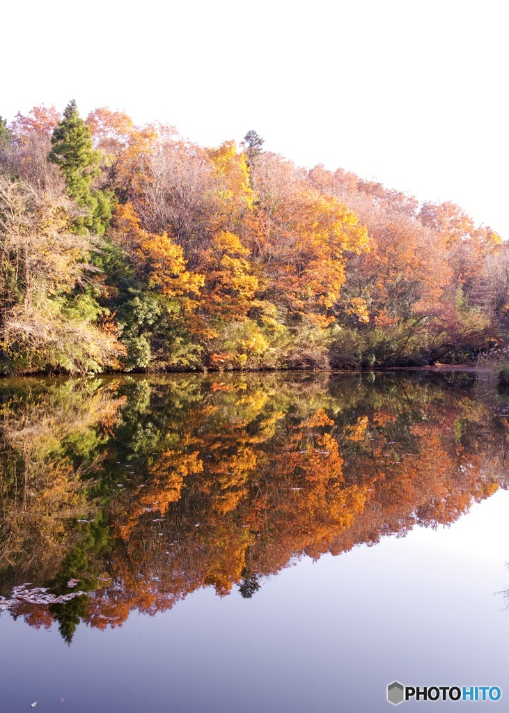 秋色の鏡