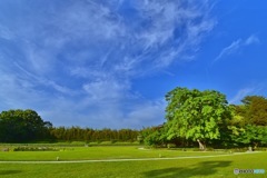 岡山後楽園⑥