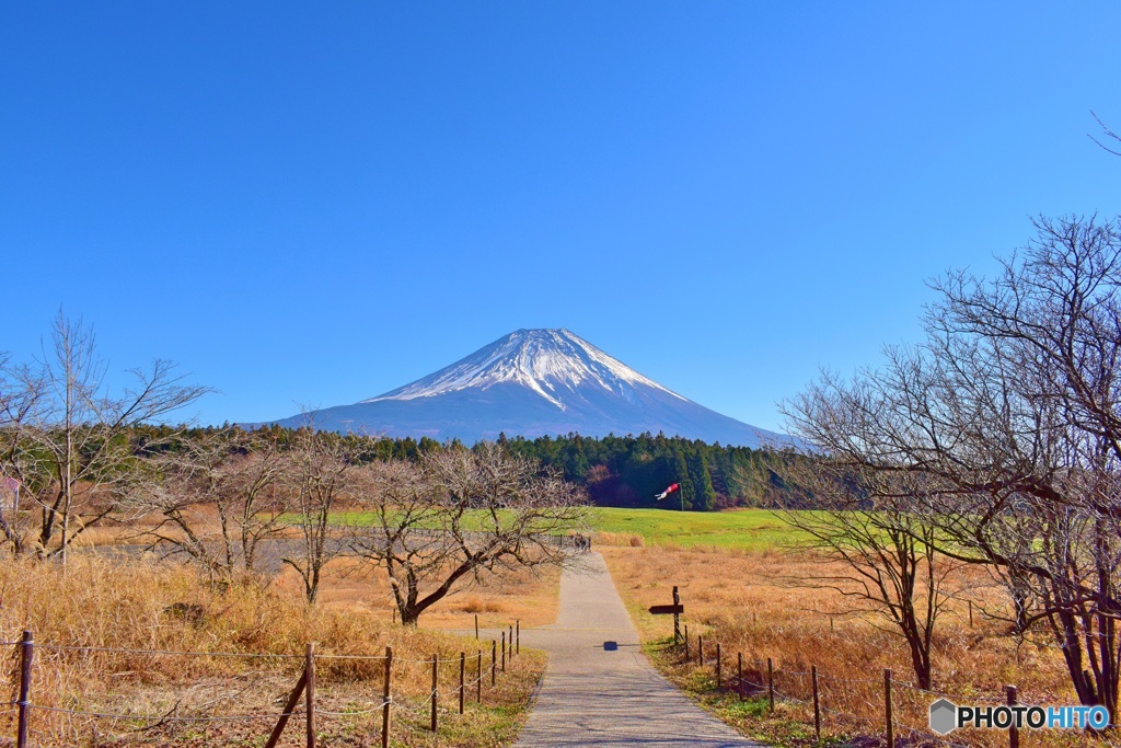 道の駅からの富士山