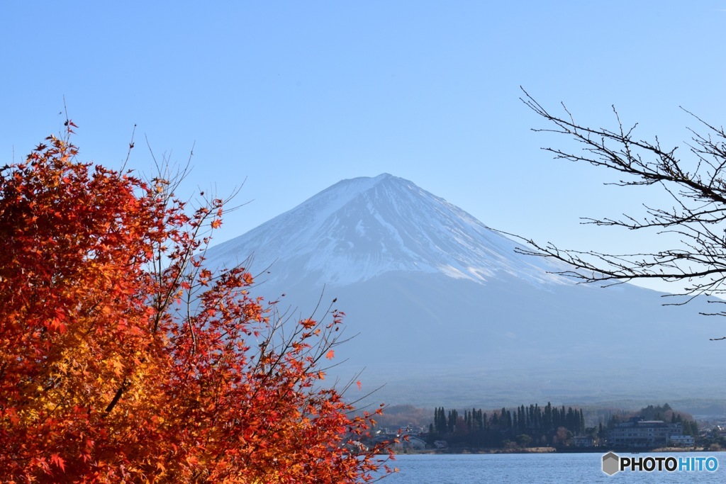 本栖湖からの富士山と紅葉
