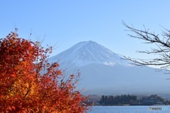本栖湖からの富士山と紅葉
