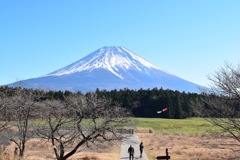 道の駅からの富士山②