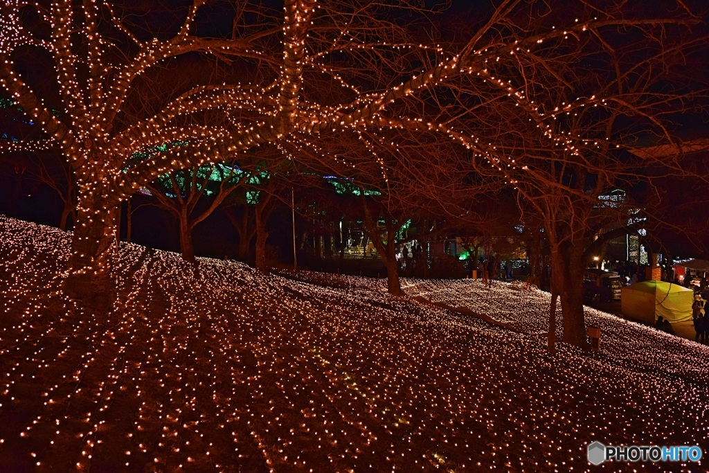 相模湖イルミネーション