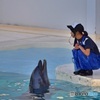 イルカショー調教師も修行中