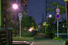いつもの帰り道