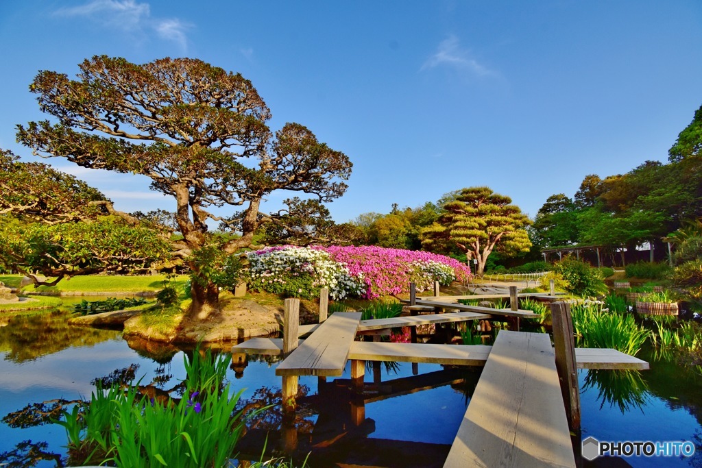 岡山後楽園⑤