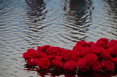 Fleurs