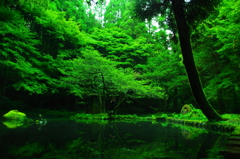 碧の世界