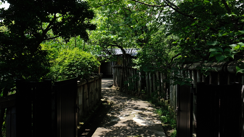 龍子公園