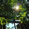 拝啓、夏の日から