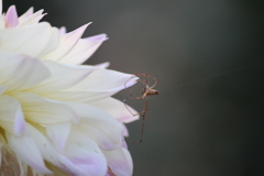 20170827174625_IMG_8997