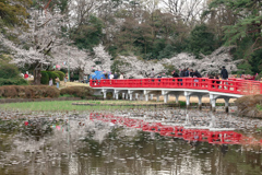 春への架け橋
