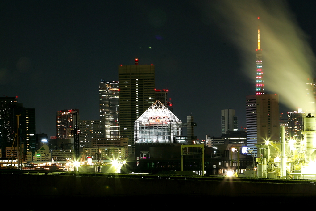 晴海の夜