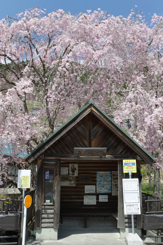 田舎のバス停