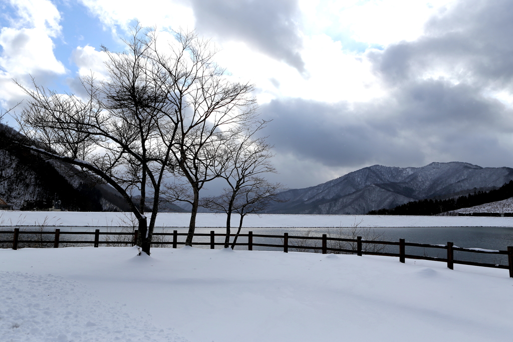 雪景色