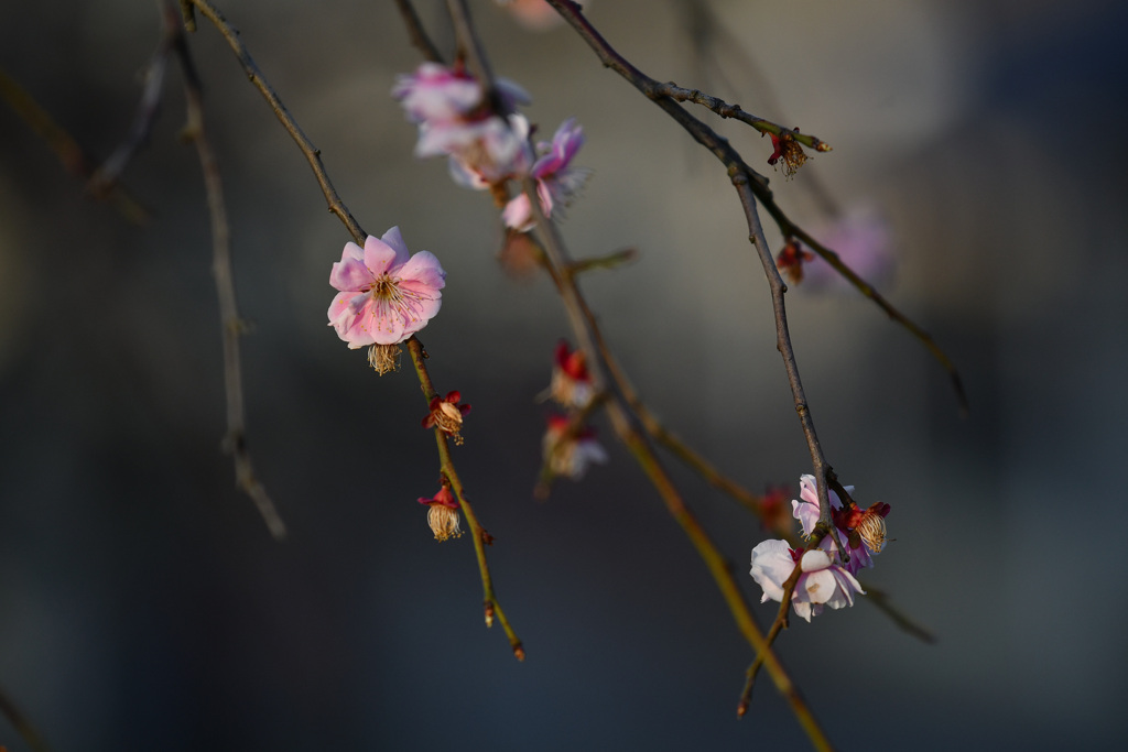 終焉の時