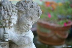 隣んちのオブジェ