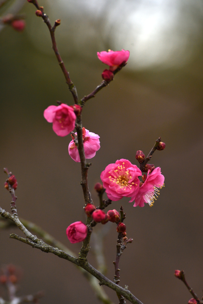 生け花のように