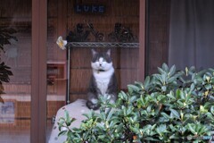 置物じゃないよ、