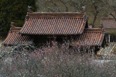 旧閑谷学校の春
