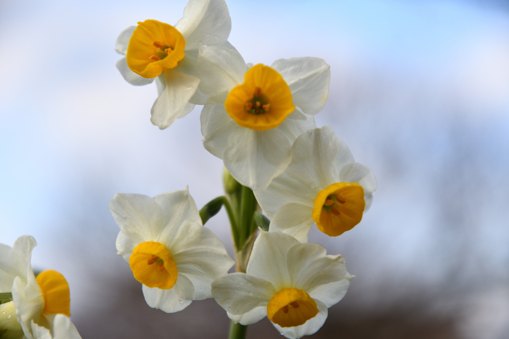 みんなで春を呼ぼう