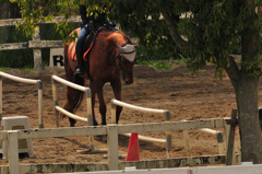 もうくたびれた、、、