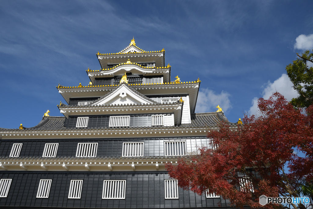 リニューアル岡山城２