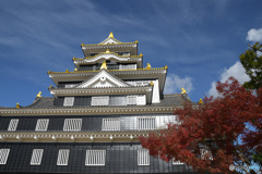 リニューアル岡山城２