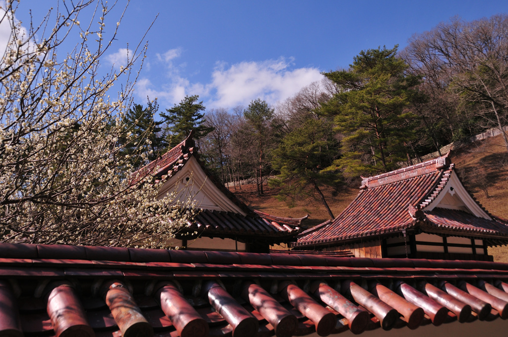 閑谷学校