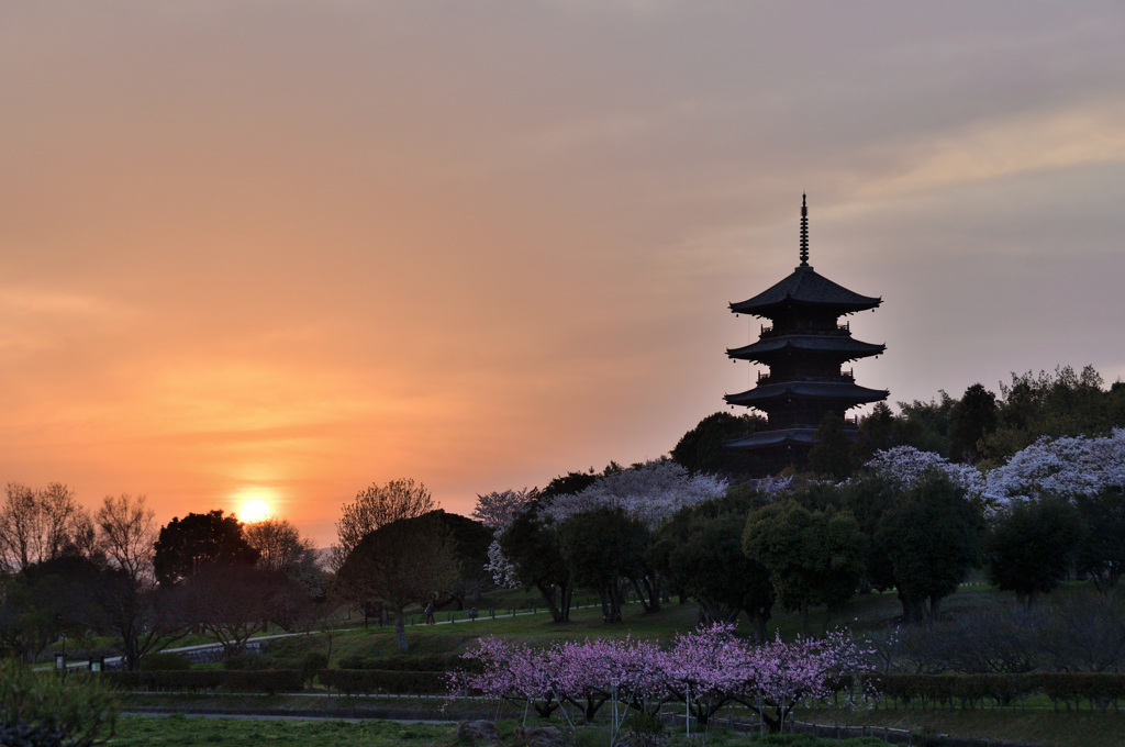 春色の国分寺