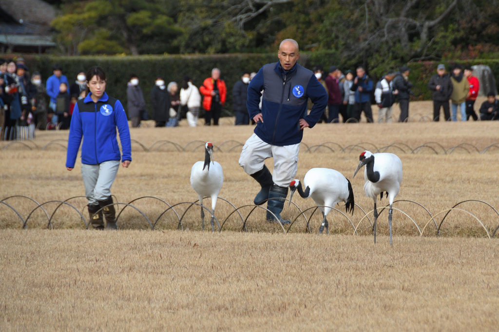 緊張気味の女性飼育員さん