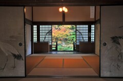 紅葉に鶴