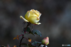 よく頑張ったね