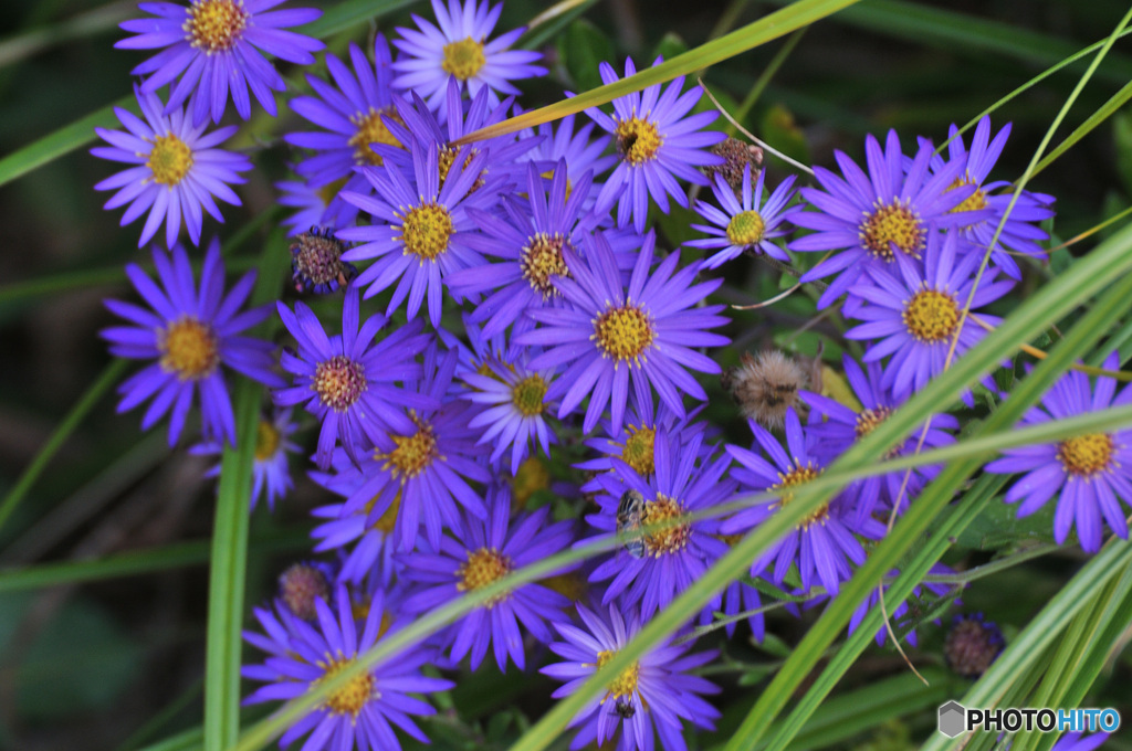 植物園のすみっこで、
