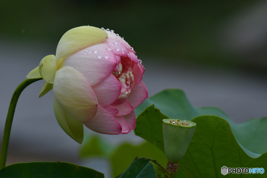 自分を見つめる